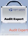   Audit Expert